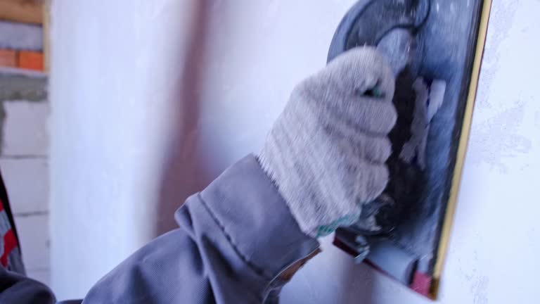 Best Mold Damage Restoration  in Cambria, IL