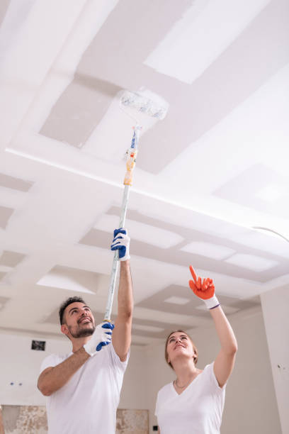 Best Mold Remediation for Healthcare Facilities  in Cambria, IL